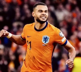 Tottenham linked with Cody Gakpo Cody Gakpo